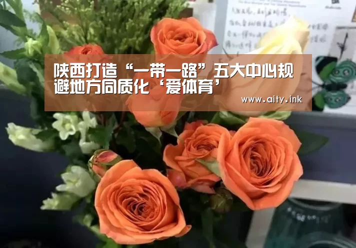 陕西打造“一带一路”五大中心规避地方同质化‘爱体育’(图2) 爱体育